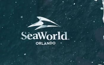 SeaWorld, Orlando, roller coaster