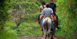 Pick an adventure you will never forget in Puerto Vallarta