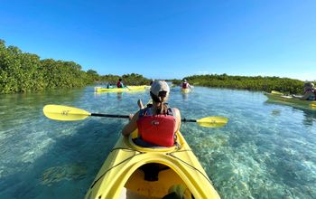 Kayak Eco Tour with Big Blue Collective