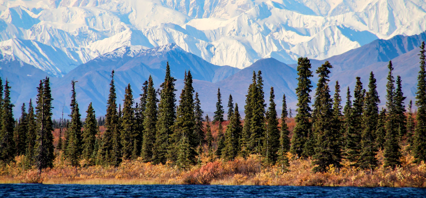 Image: Denali National Park (photo via ESTA America) ((photo via ESTA America))