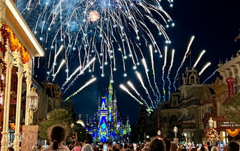 Happily Ever After show at Magic Kingdom