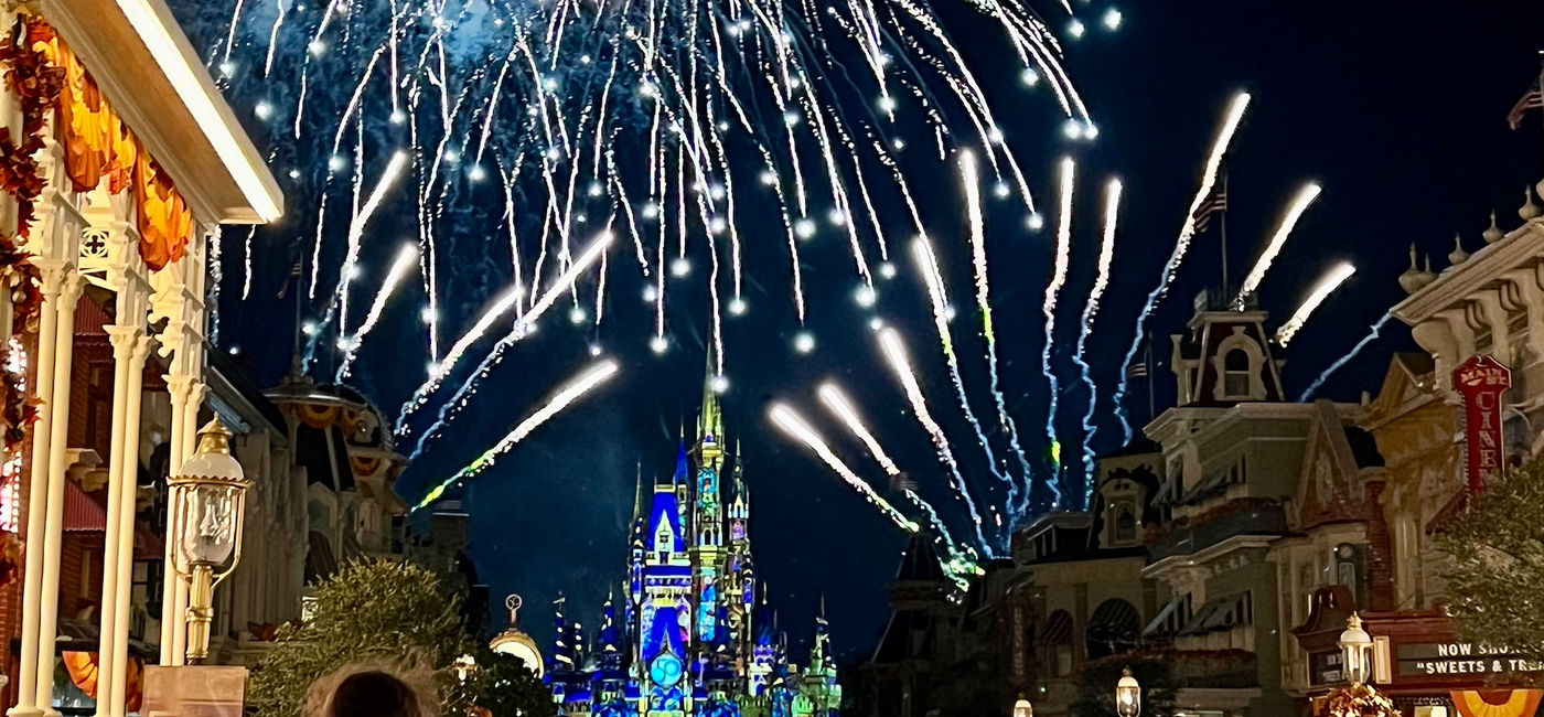 Image: Happily Ever After nighttime show at Magic Kingdom (Photo via Brooke Geiger McDonald)