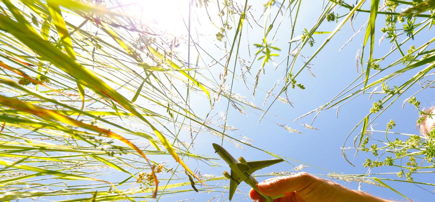 Image: Internova enhances sustainable initiatives. (photo via horstgerlach / iStock / Getty Images Plus)