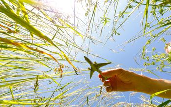 Interest in sustainable travel is on the rise