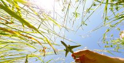 Interest in sustainable travel is on the rise