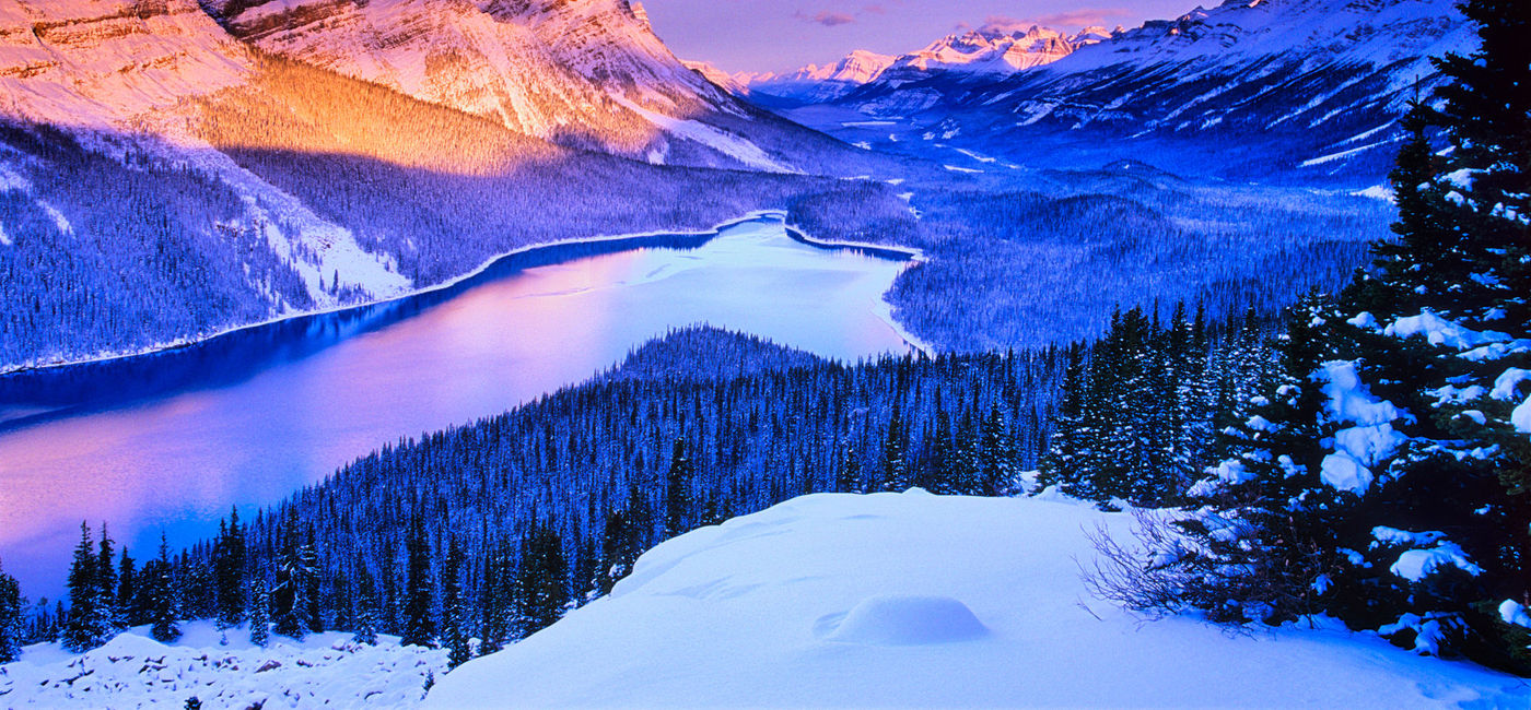 Image: PHOTO: Peyto Lake in Banff National Park in the Canadian Rockies. (photo via Don White/E+)
