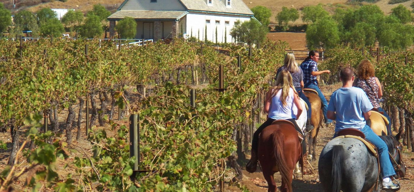 Image: Horseback Riding through the Temecula Vineyards (Photo via Noreen Kompanik)