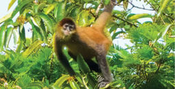 Costa Rica: A World Of Nature