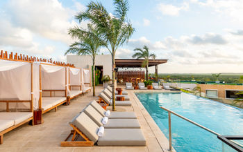 Rooftop infinity pool with palm trees, cabanas, and bar
