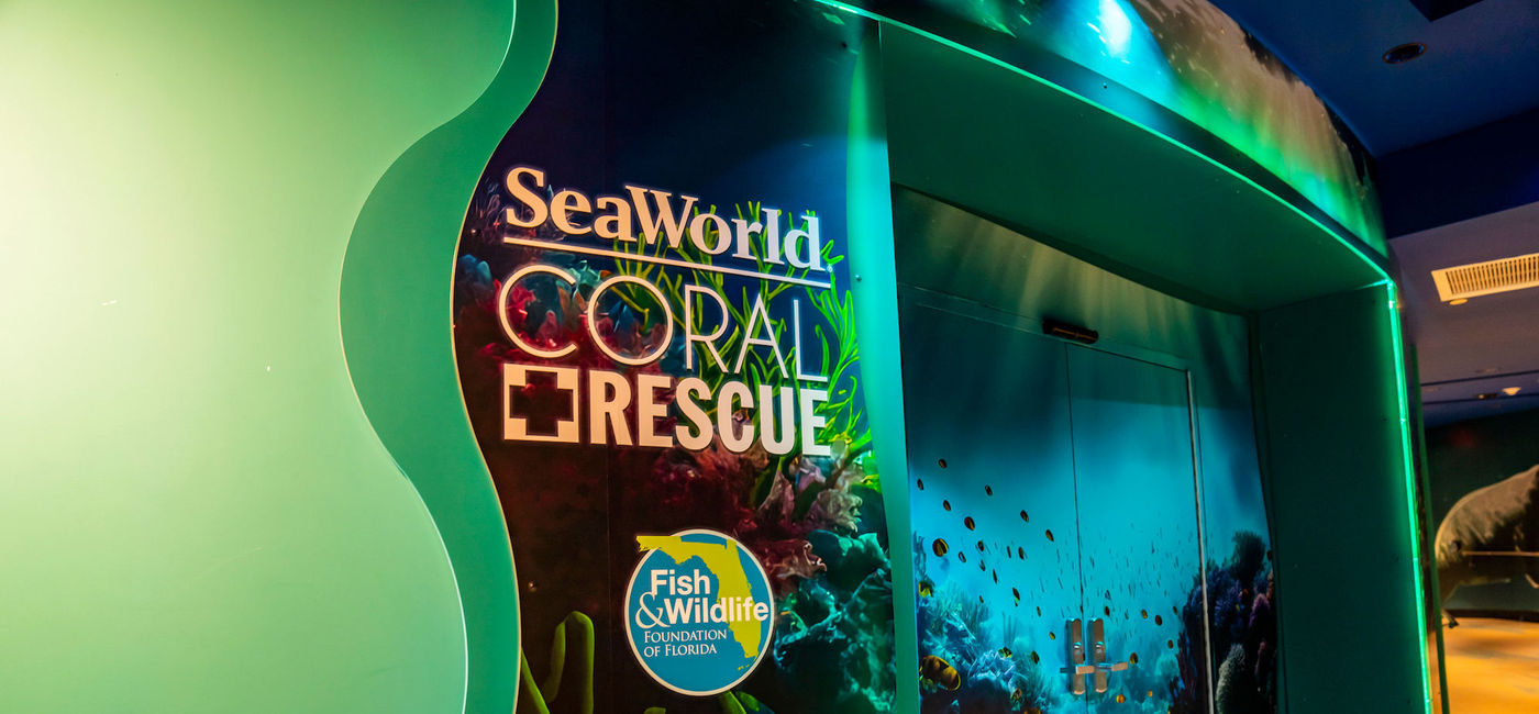 Image: SeaWorld Orlando's all-new Coral Rescue Center, open to park guests. (Source: SeaWorld Parks & Entertainment)