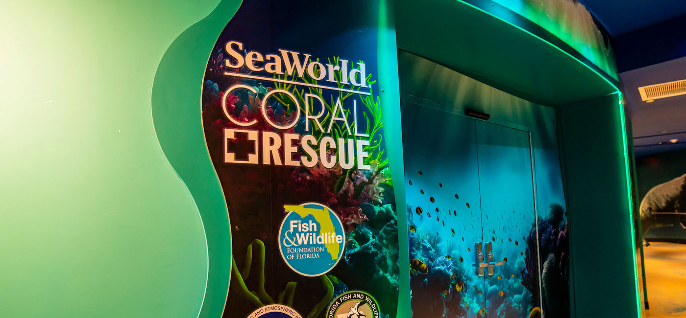 SeaWorld Orlando Opens First Coral Rescue Center Accessible by Park