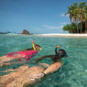 Avanti's private snorkeling expedition in Panama. 