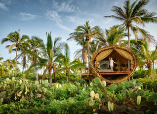 Playa Viva Hotel, Mexico