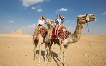 Egypt, Giza, Guests riding camels near the Great Pyramid of Giza