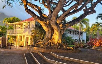 View of Montpelier Plantation and Beach Resort