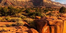 Canyon Country featuring Arizona & Utah
