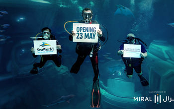 Divers inside the Endless Ocean Realm of SeaWorld Abu Dhabi.
