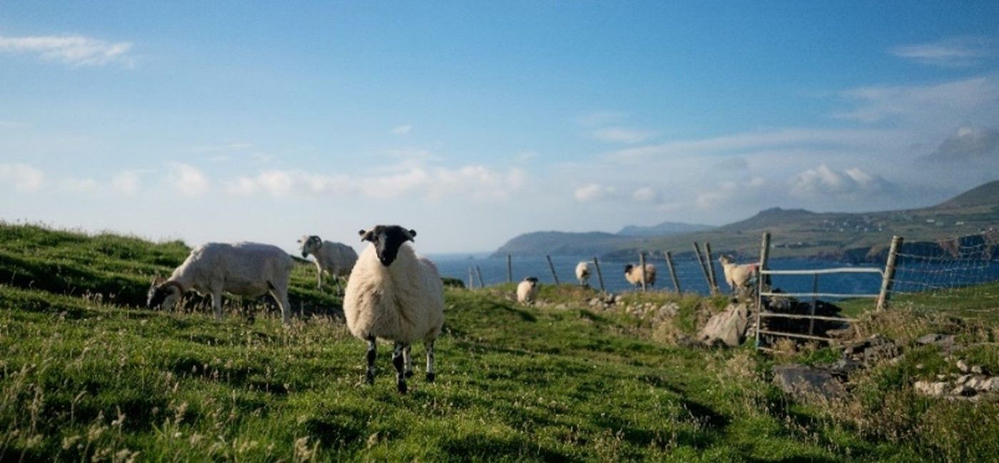 Image: Visit Ireland with Collette. (photo via Collette) (collette)