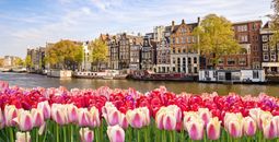 Amsterdam city skyline at canal waterfront with spring tulip flower, Amsterdam, Netherlands