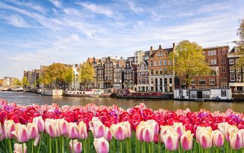Amsterdam city skyline at canal waterfront with spring tulip flower, Amsterdam, Netherlands