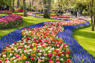 Keukenhof Park in The Netherlands.