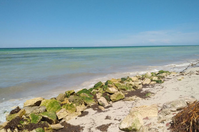Beach in San Crisanto, Yucatan, Mexico Beach in San Crisanto, Yucatan, Mexico