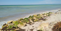 Beach in San Crisanto, Yucatan, Mexico