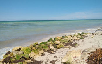 Beach in San Crisanto, Yucatan, Mexico