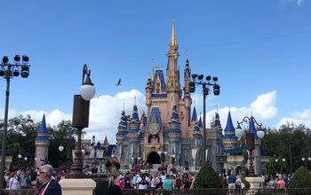 Walt Disney World Resort.