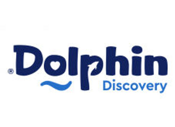 Dolphin Discovery