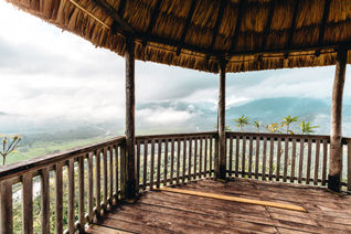 Belize, rainforest