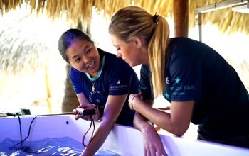 Dr. Megan Morikawa, Director of Sustainability for Iberostar