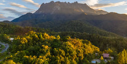 Mount Kinabalu, Malaysia, Mount Kinabalu National Park, forests in Asia, Asian forests