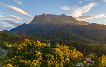 Mount Kinabalu, Malaysia, Mount Kinabalu National Park, forests in Asia, Asian forests