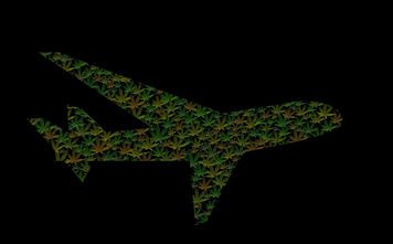 Weed plane, flying with marijuana, cannabis