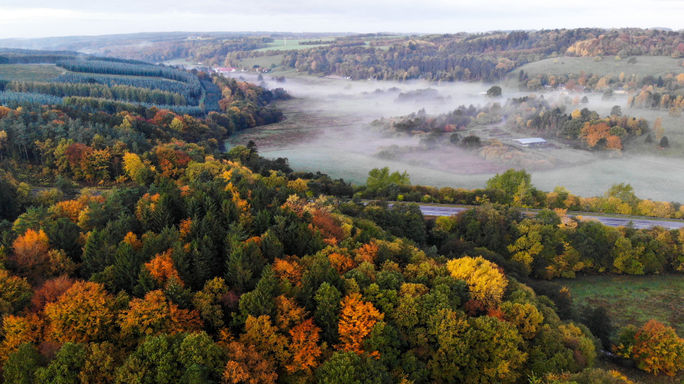 Denmark, Rold Forest, Rebild Bakker, Rebild Hills, autumn, fall, seasons 