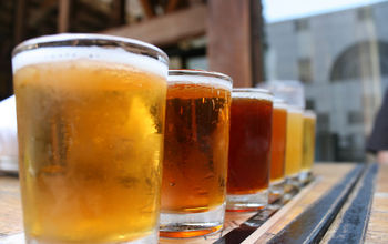 Pints of beer