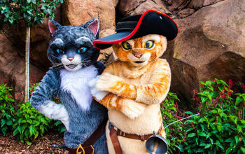 Puss in Boots &ndash; DreamWorks Destination at Universal Orlando.