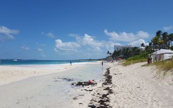 Bahamas beach