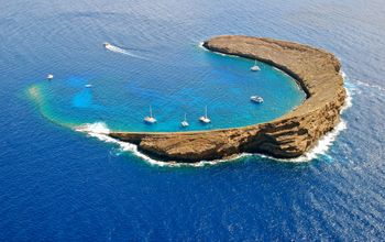 Molokini Hawaii Tours, Kensington tours, Hawaii