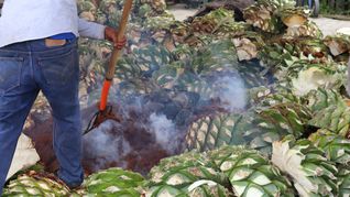 El mezcal está presente varias celebraciones a lo largo de los años y las personas le han dado diferentes usos como “remedios” para la salud. (photo: Thompson Hotels)
