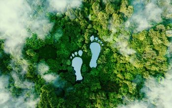 Sustainble travel footprint
