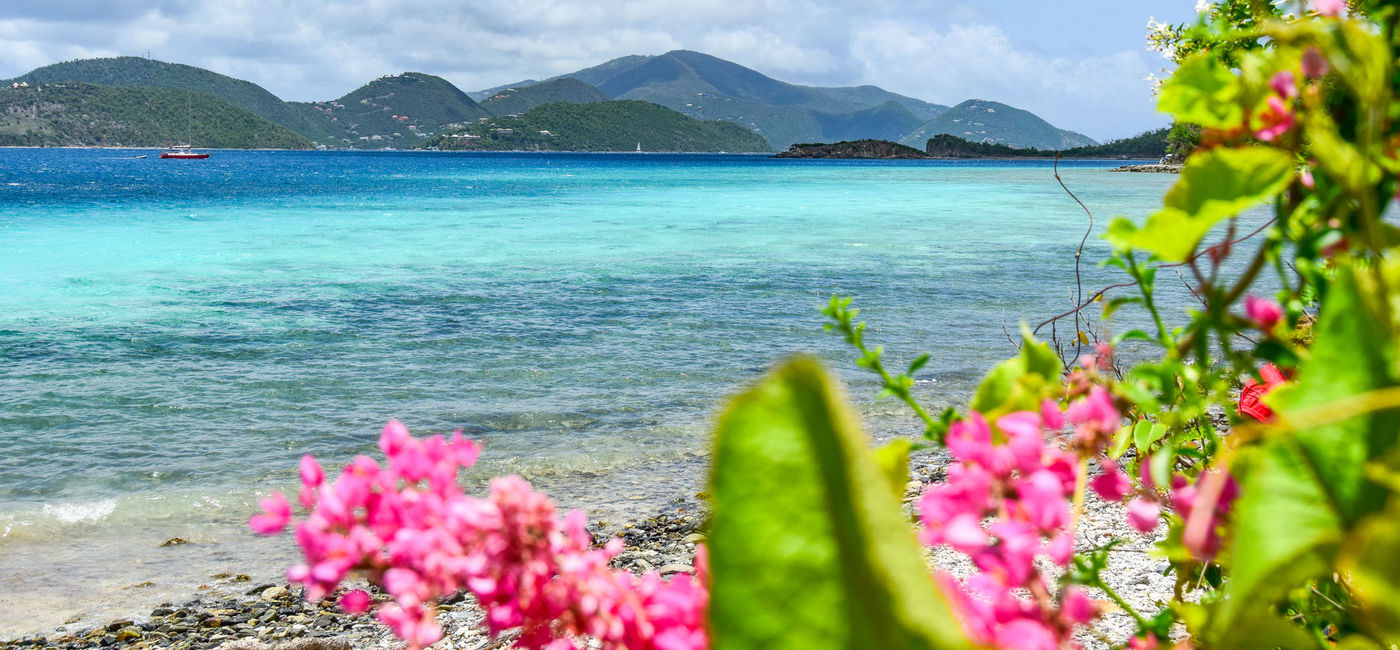Image: PHOTO: St. John, U.S. Virgin Islands (Photo by Lauren Breedlove)