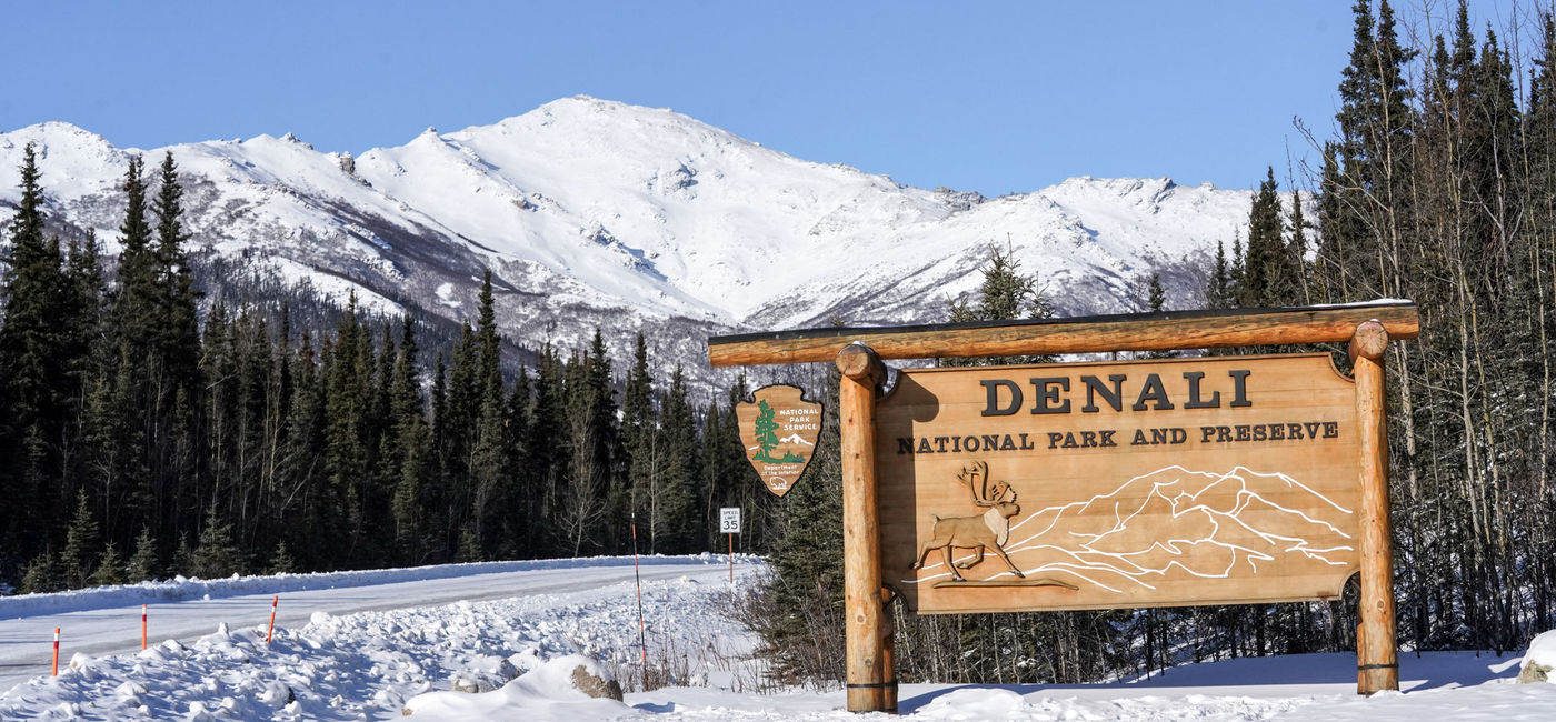 Image: Denali National Park, Alaska (Photo by Lauren Breedlove)