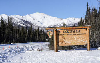 Denali National Park, Alaska