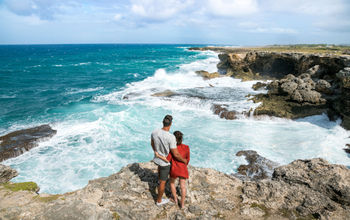 The coast at Animal Flower Cave, Barbados