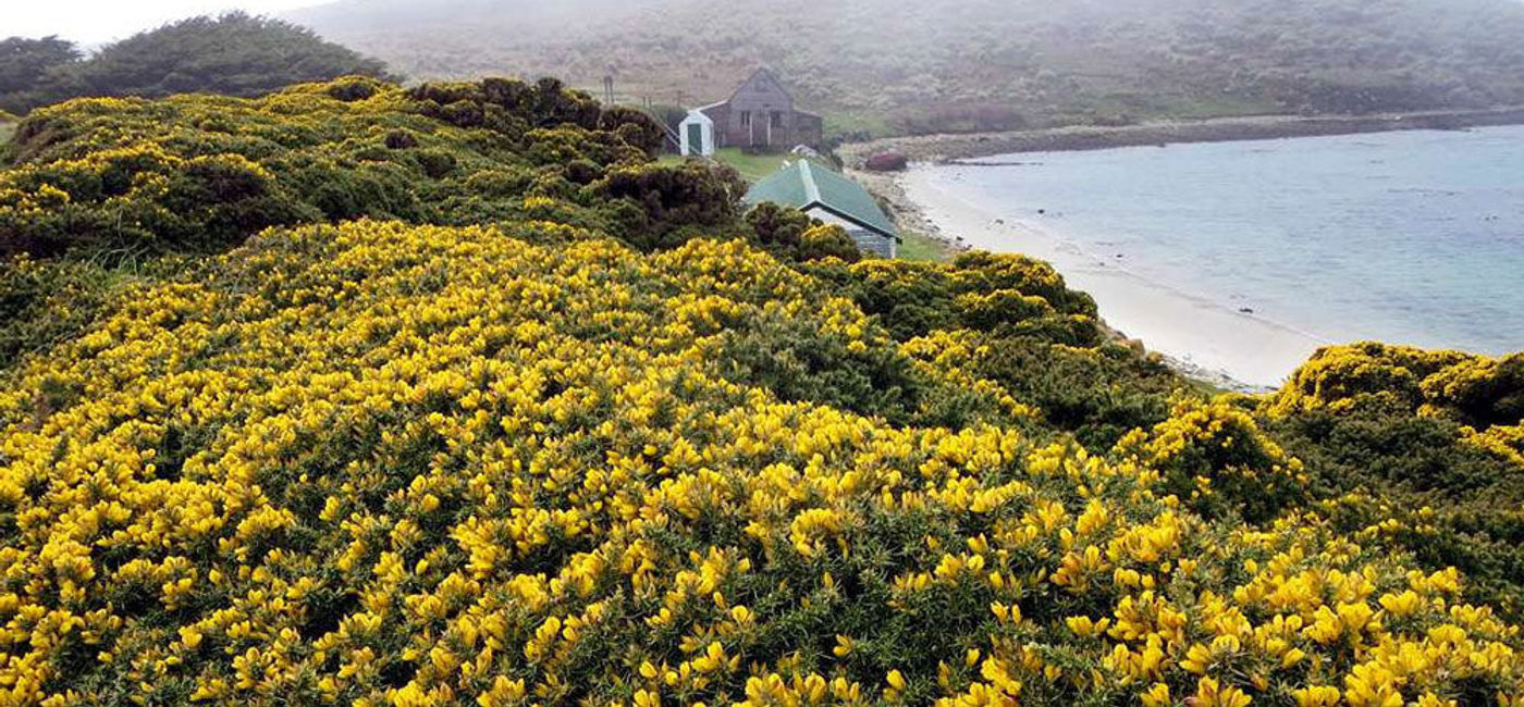 Image: PHOTO: West Point Island, Falkland Islands. (photo via Flickr/David Stanley)
