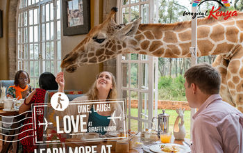 Kenya, marketing, campaign, advertising, giraffes, manor