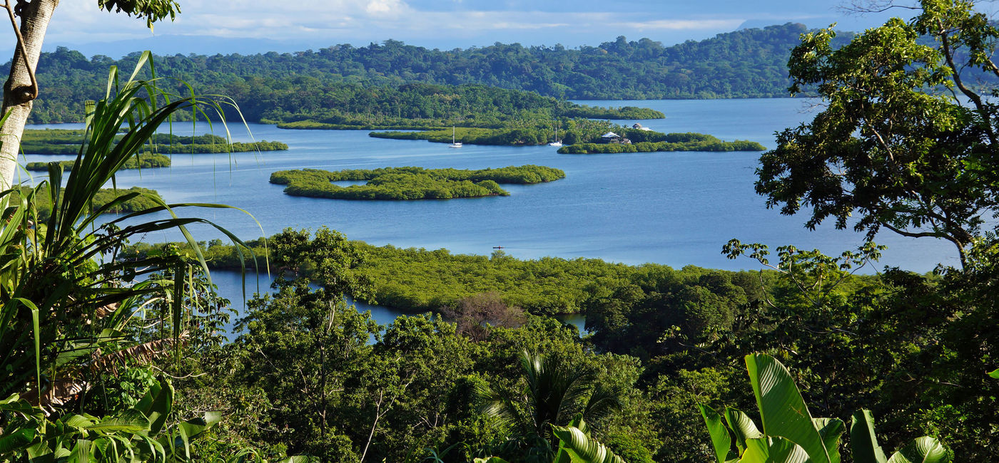 Image: Mangrove-covered islets in the Bocas del Toro archipelago, Panama. (photo via iStock/Getty Images Plus/Damocean)