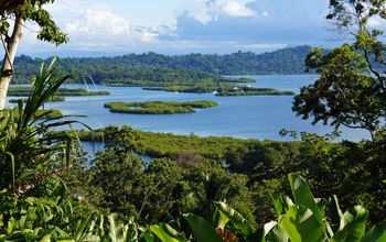 Mangrove-covered islets in the Bocas del Toro archipelago, Panama.